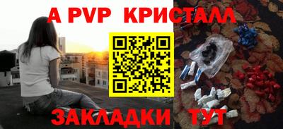 шишки Гатчина
