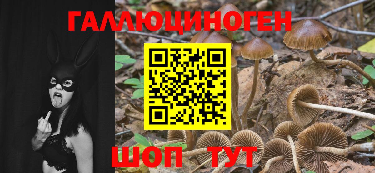 Галлюциногенные грибы мицелий Феодосия